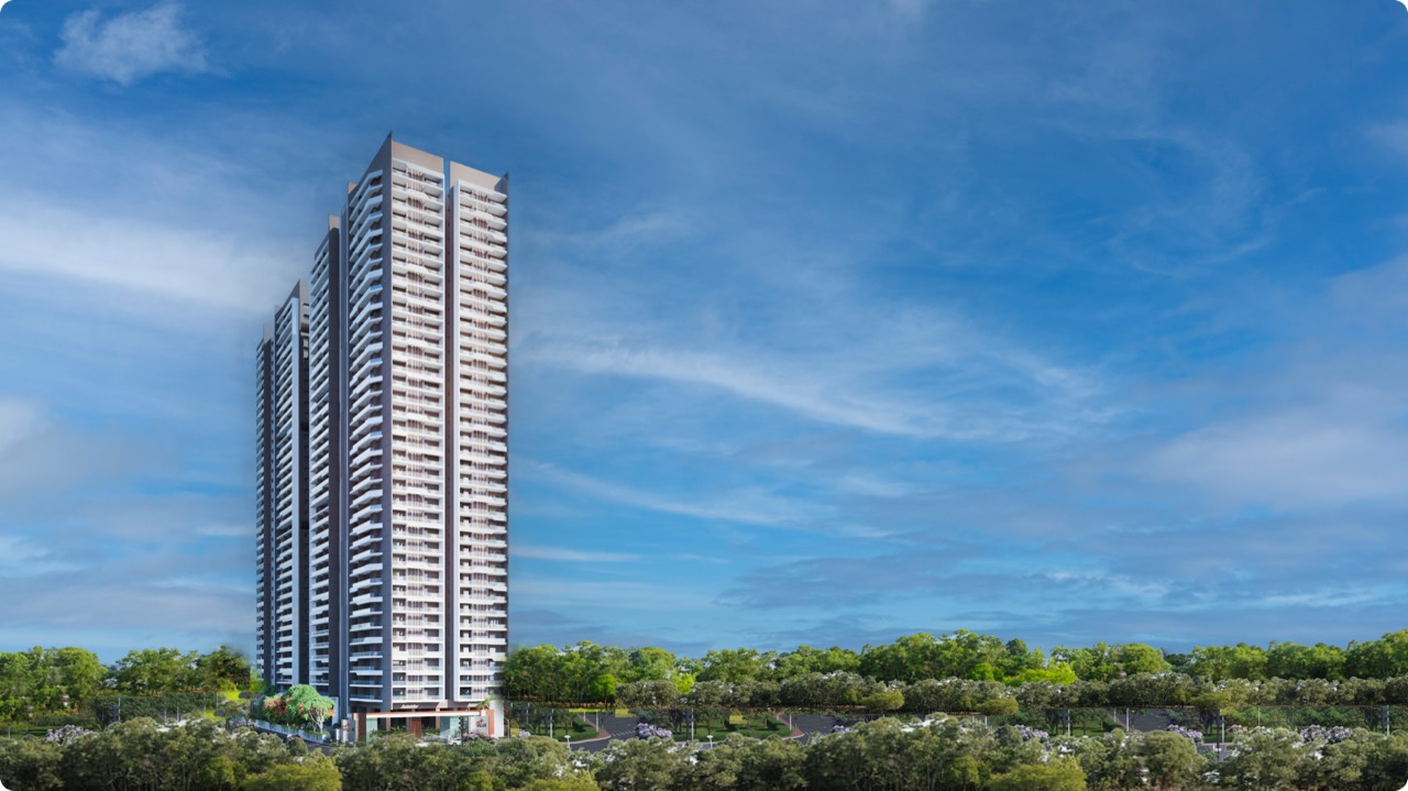 DSR Valar, artist's impression